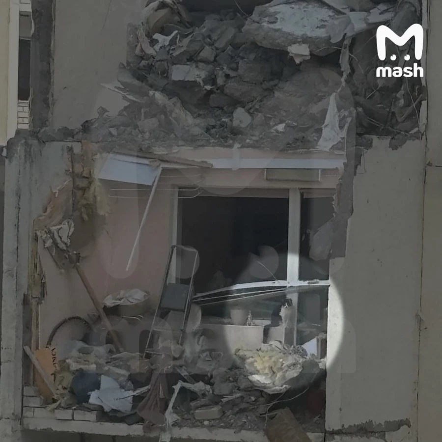 Кошка уже почти неделю ждет спасения в руинах дома в Саратове