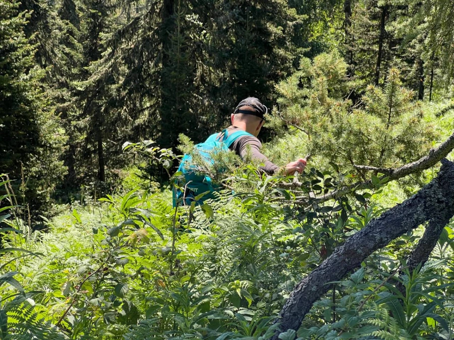 Поход на гору Синюха, Солонешенский район.