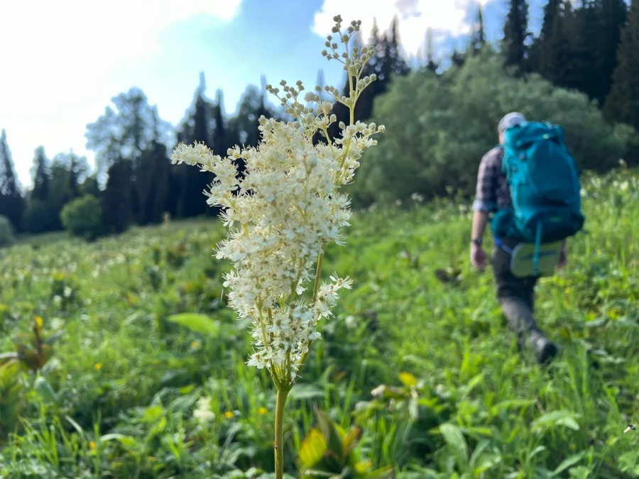 Поход на гору Синюха, Солонешенский район.