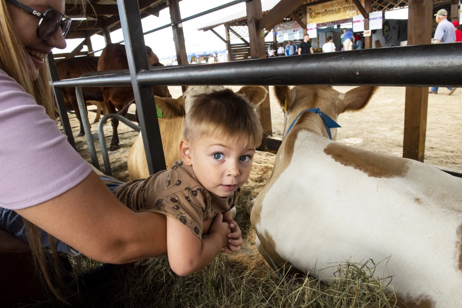 Выставка животных на агрофоруме «День сибирского поля — 2025».