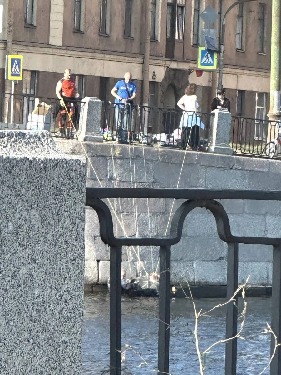 Уже четыре дня пытаются спасти питерского кота, который провалился в облицовку набережной. Уже четыре дня пытаются спасти питерского кота, который провалился в облицовку набережной.