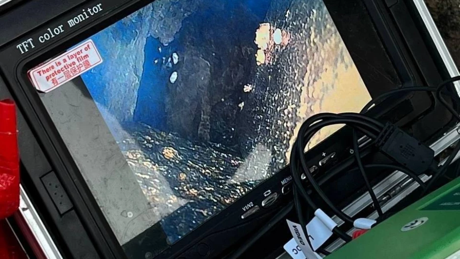  Уже четыре дня пытаются спасти питерского кота, который провалился в облицовку набережной.