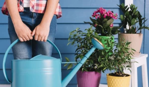 Полив цветов.