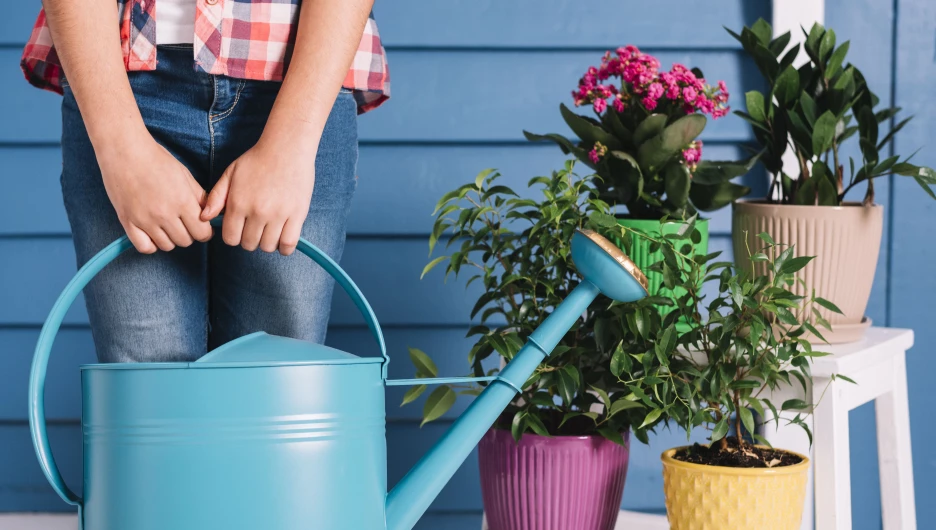 Полив цветов.