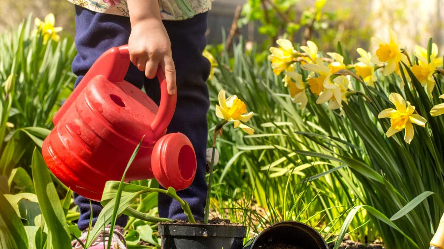 Полив цветов.