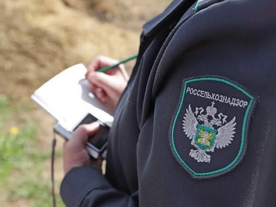 Мониторинг поля