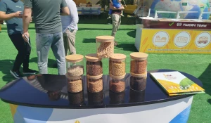 Выставки семян на Дне Сибирского поля