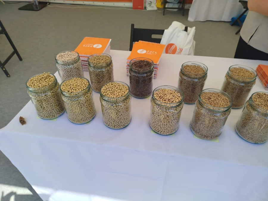 Выставки семян на Дне Сибирского поля