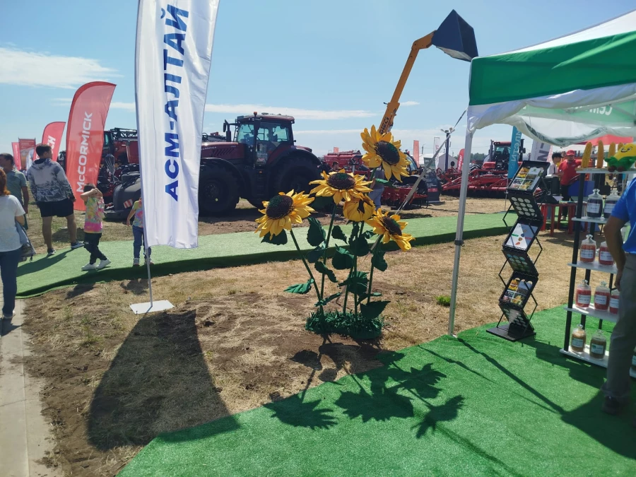 Выставки семян на Дне Сибирского поля