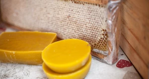 Медовая ярмарка на площади Сахарова. Мед