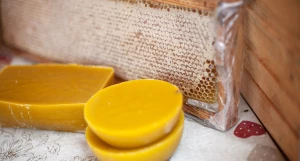 Медовая ярмарка на площади Сахарова. Мед