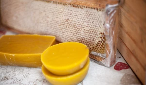 Медовая ярмарка на площади Сахарова. Мед