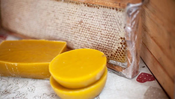 Медовая ярмарка на площади Сахарова. Мед