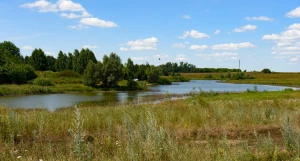 Природа вокруг поселков «Приозерный» и «Статус».