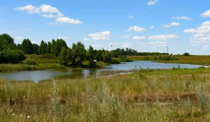 Природа вокруг поселков «Приозерный» и «Статус».