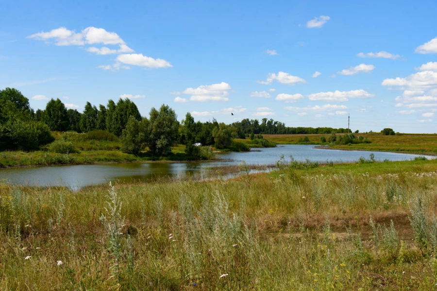Природа вокруг поселков «Приозерный» и «Статус».