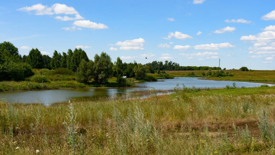 Природа вокруг поселков «Приозерный» и «Статус».