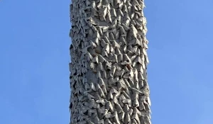 Жители Республики Алтай в шоке от нашествия шелкопряда