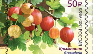 Почтовая марка с крыжовником.