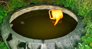 В Тюменцевском районе двухлетняя девочка утонула, купаясь в колесе.
