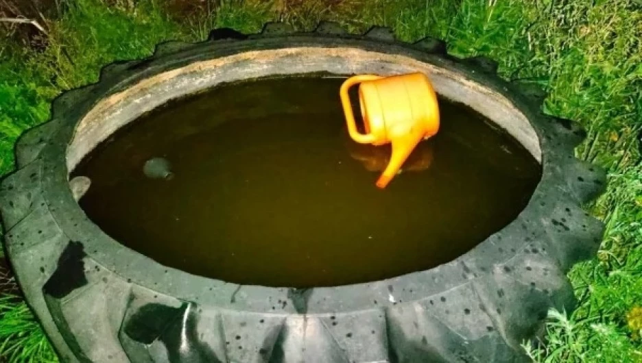 В Тюменцевском районе двухлетняя девочка утонула, купаясь в колесе.