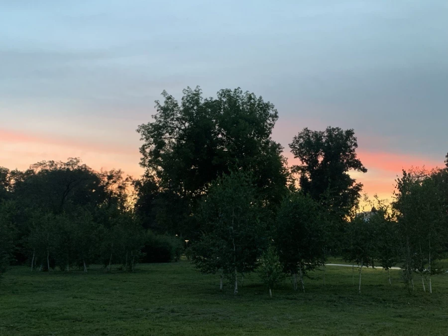 Зелень, Изумрудный парк. 