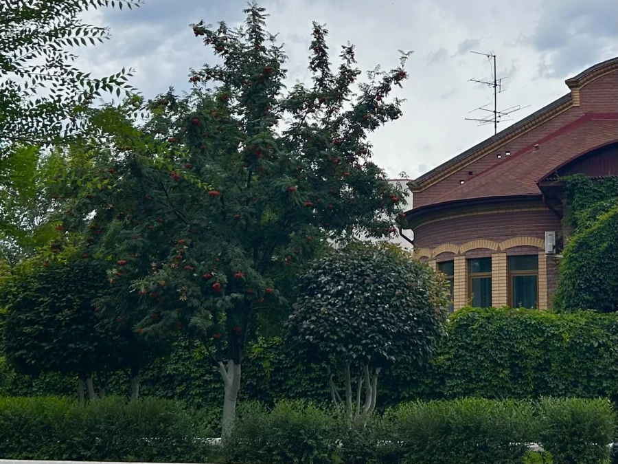 Дом в Барнауле. 