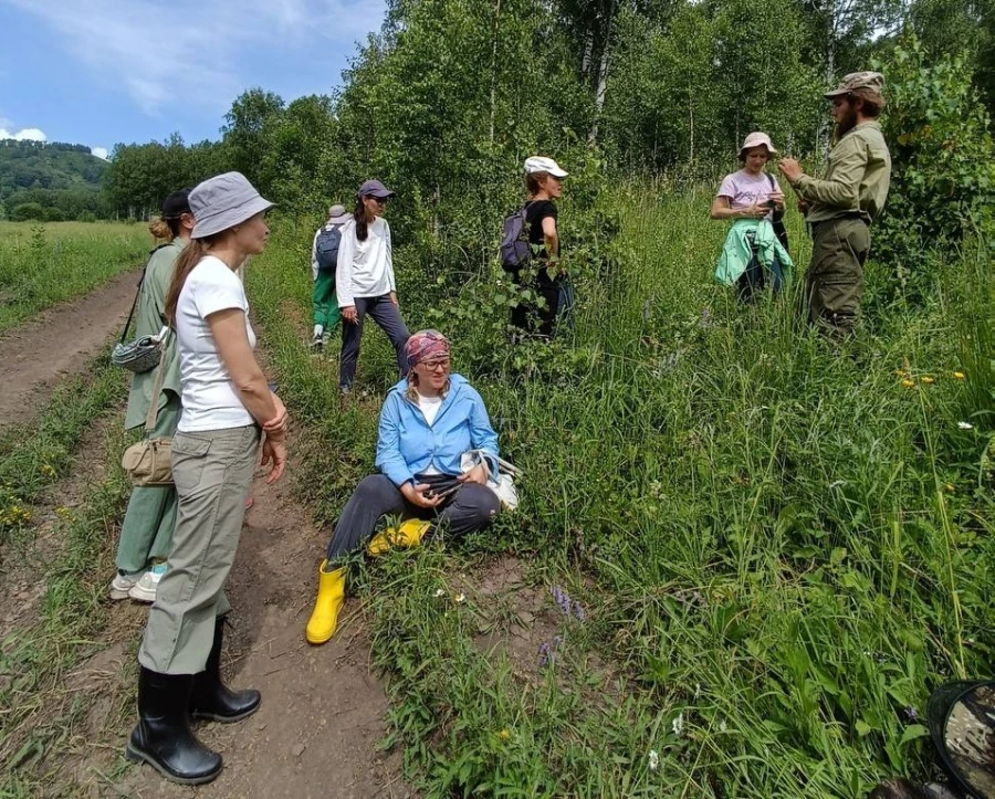 Сбор трав в эко-хозяйстве Марии Самариной. 