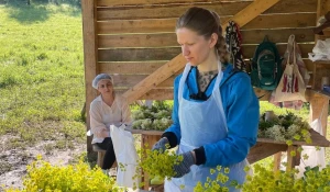Сбор трав в эко=хозяйстве Марии Самариной. 