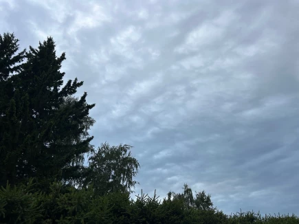 Пасмурное небо над Барнаулом 