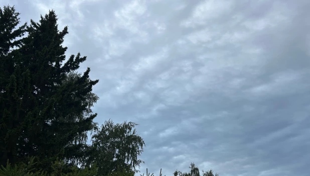 Пасмурное небо над Барнаулом 