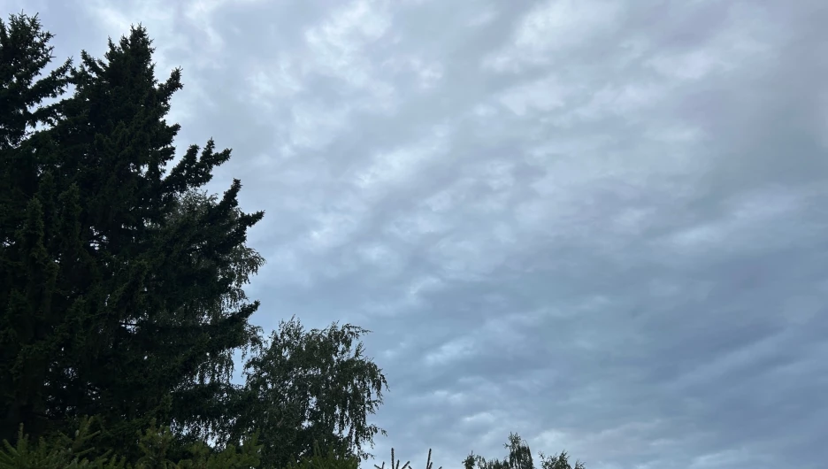 Пасмурное небо над Барнаулом 