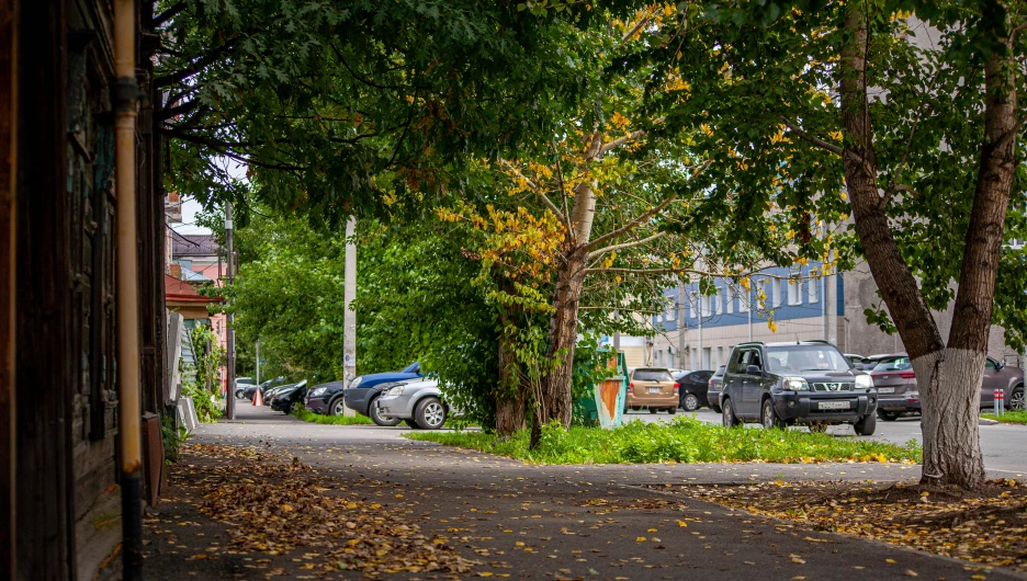 Первые признаки осени в Барнауле, 2025 год.