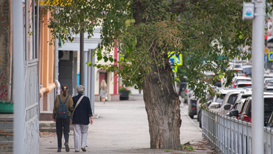 Первые признаки осени в Барнауле, 2025 год.