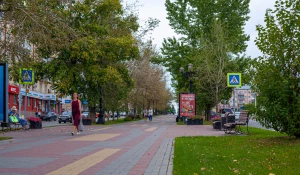 Первые признаки осени в Барнауле, 2025 год.