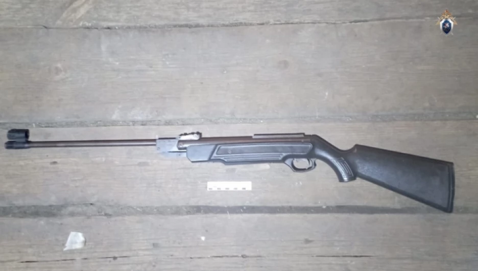 Пневматическое ружье, которым подросток случайно убил девочку в Заринском районе.