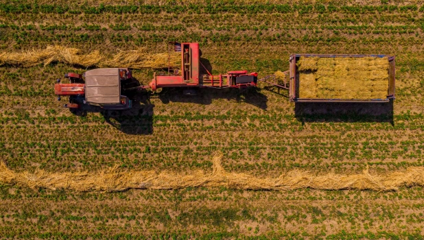 Заготовка сена.