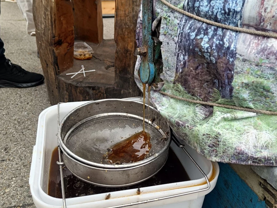 Медогонка. Мед