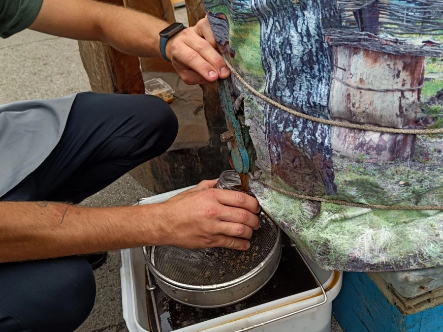 Медогонка. Мед из крана