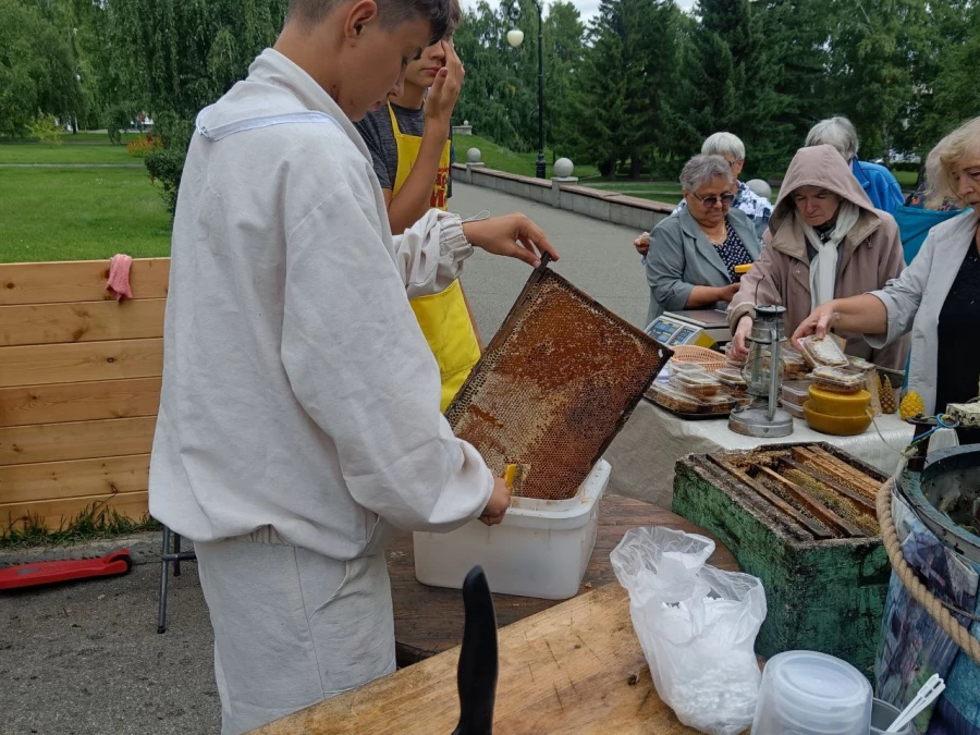 Медогонка. Распечатка сот