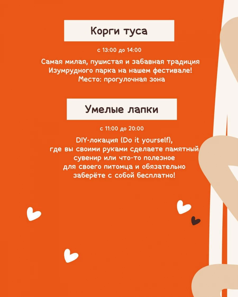 Бесплатный фестиваль «ЛАПКИ ТАПКИ».