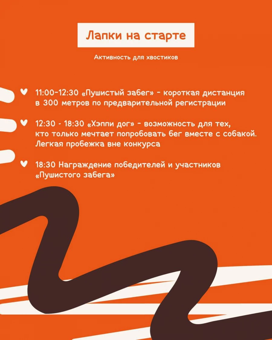 Бесплатный фестиваль «ЛАПКИ ТАПКИ».