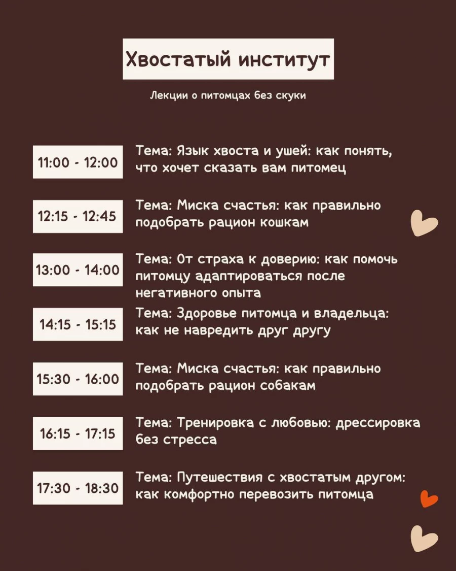 Бесплатный фестиваль «ЛАПКИ ТАПКИ».