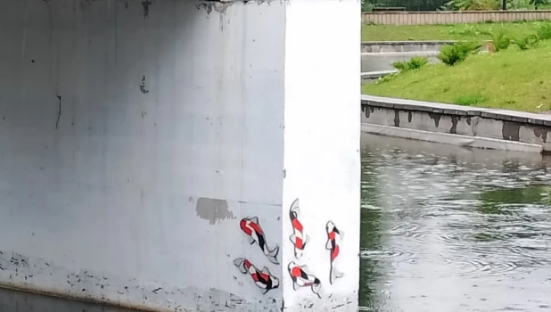 Мозаичные рыбки в парке «Изумрудный»