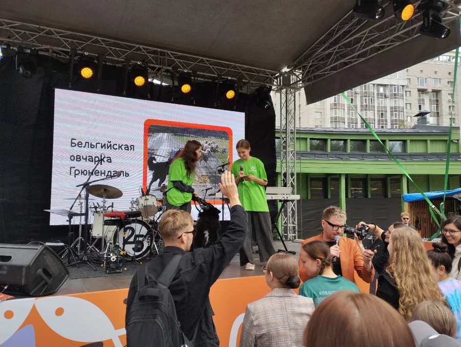 «Лапки-тапки»