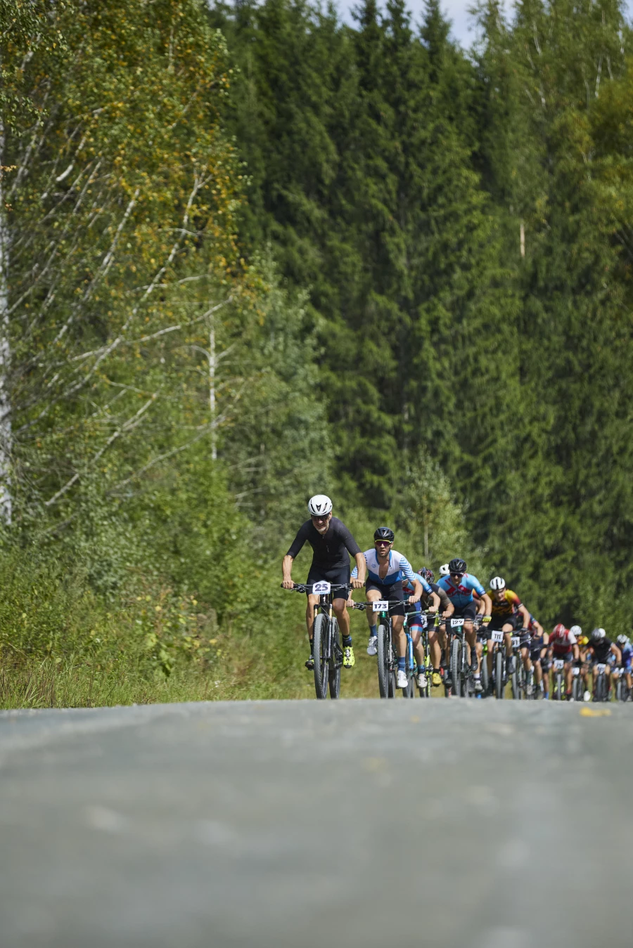 Веломарафон «Таежная трасса-2025». Тягун-Заринск 