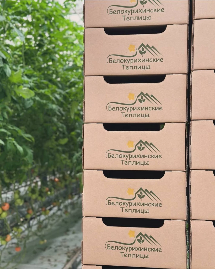 Продукция компании «Белокурихинские теплицы» стала лауреатом конкурса качества «Лучший алтайский товар года».