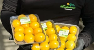 Продукция компании «Белокурихинские теплицы» стала лауреатом конкурса качества «Лучший алтайский товар года».