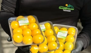 Продукция компании «Белокурихинские теплицы» стала лауреатом конкурса качества «Лучший алтайский товар года».