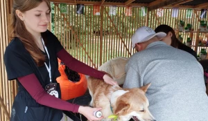 "Лапки-Тапки"